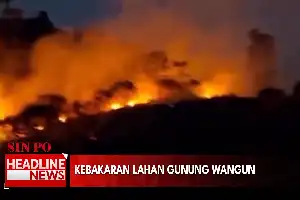 Incendio consume terrenos de pastizales en las colinas del monte Wangun, Bogor