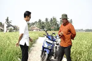 Boosting Agricultural Productivity, Gunung Sari Village Government Completes Farm Road Infrastructure