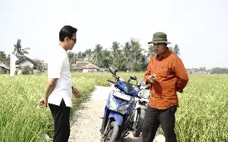 Para impulsar la productividad agrícola, el Gobierno Comunal de Gunung Sari completa la infraestructura de un camino rural