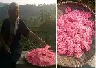 El auge del negocio de Ranggining en Tenjolaya Bogor: Preservando la tradición culinaria y sosteniendo la economía familiar