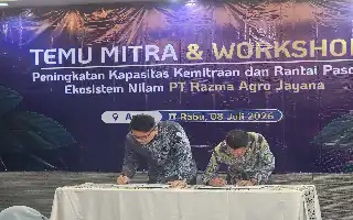 Impulsando el desarrollo industrial aguas abajo, la Universidad Samudra refuerza el cultivo de pachulí en Aceh mediante una incubadora de empresas