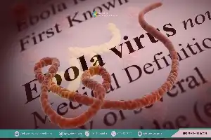 Desentrañando la complejidad del virus del Ébola: una amenaza a la salud global e innovaciones recientes en su tratamiento