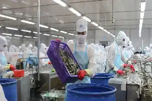 Стрімке зростання логістичних витрат загрожує прибутковості в'єтнамських експортерів