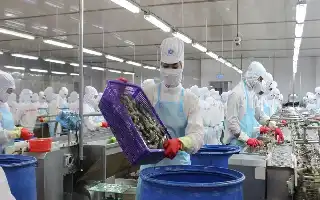 El aumento de los costos logísticos amenaza la rentabilidad de los exportadores vietnamitas