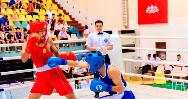 2026 National Youth Boxing Championship: A Nurturing Ground for Athletes and Cultural Integration