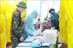 500-денна кампанія: прорив у генетичних технологіях як відповідь на заклик повернути героїв додому