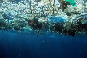 Inovasi Gelembung Ganda: Terobosan Baru Australia dalam Menangkal Polusi Mikroplastik
