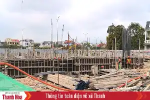 Transformasi Strategi Pasar Properti Thanh Hoa: Fokus pada Kebutuhan Hunian Riil