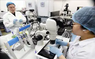 Analizando los 12 principales obstáculos del ecosistema nacional de innovación y tecnología