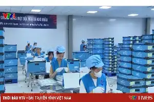 Strategi Vietnam Mengakselerasi Industri Pendukung dalam Rantai Pasok Global