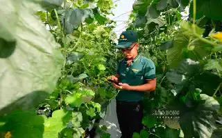Modernización de la agricultura en Vietnam: La transformación digital como clave para mejorar la competitividad global