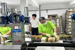 Aceleración del crecimiento económico: el gobierno local fortalece la sinergia con el sector empresarial