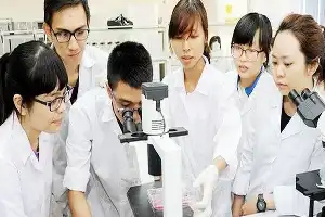 Government Updates Education Digitalization Regulations: Artificial Intelligence Must Be Learner-Centered