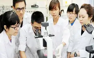El Gobierno actualiza la regulación sobre digitalización educativa: La Inteligencia Artificial debe estar centrada en los estudiantes