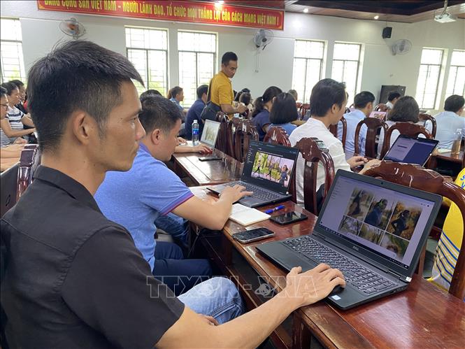 Pemerintah Perkuat Kerangka Hukum Integrasi Teknologi dan AI dalam Pendidikan Tinggi