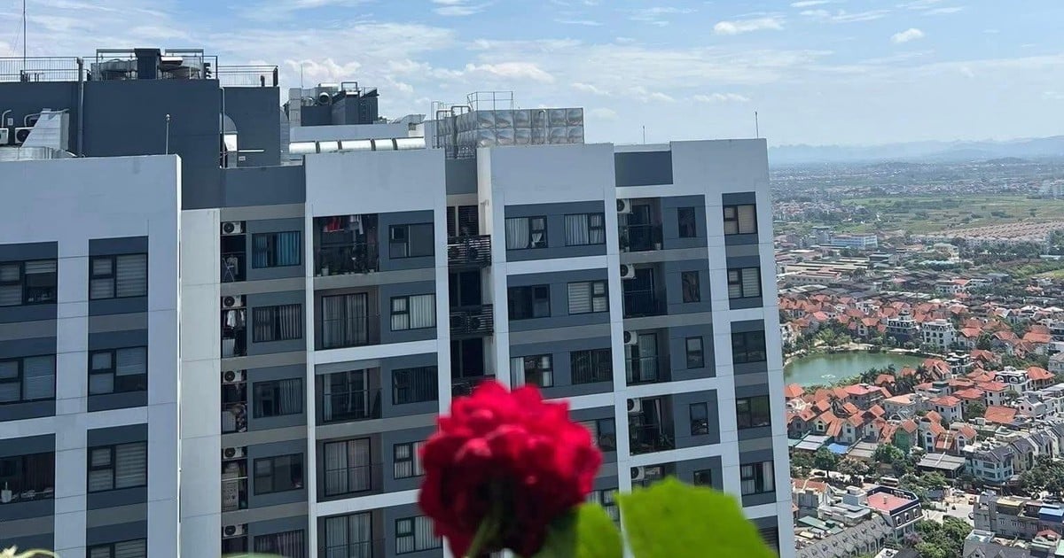 Kementerian Konstruksi Percepat Revisi UU Perumahan demi Efisiensi Pasar Properti