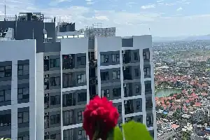 Ministry of Construction Accelerates Housing Law Revision for Property Market Efficiency