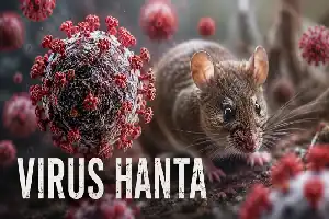 Ministry of Health Urges Early Vigilance Against Hantavirus Zoonotic Disease