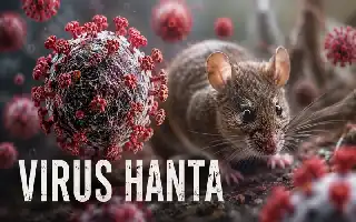 Ministry of Health Urges Early Vigilance Against Hantavirus Zoonotic Disease