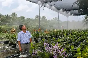Modernización Agrícola en Soc Trang: Transformación del Cultivo de Orquídeas Basado en IoT