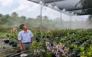 Modernización Agrícola en Soc Trang: Transformación del Cultivo de Orquídeas Basado en IoT