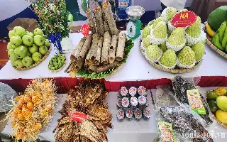 Sektor Perdagangan dan Jasa Provinsi Son La Tumbuh Positif di Paruh Pertama 2026