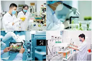 Vietnam prepara un esquema salarial de 187 millones de IDR al mes para atraer talento tecnológico de clase mundial