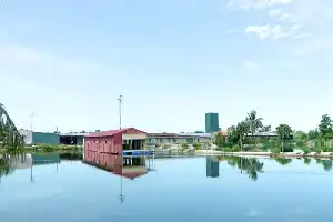 Інновація охолоджуваних пташників: Ключ до ефективності та продуктивності сучасного тваринництва в Куангніні
