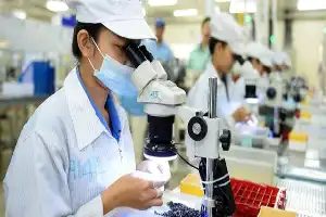 Impulso a la innovación: el Gobierno prepara un subsidio de tasa de interés del 50% para empresas tecnológicas