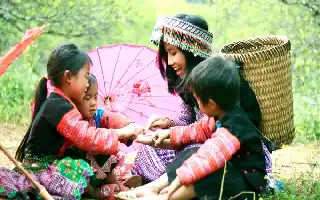 El Ministerio de Cultura de Vietnam ratifica la implementación de valores culturales nacionales basados en la efectividad práctica