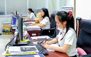 Reformasi Administrasi Pajak: Can Tho Bersihkan Puluhan Ribu Data Nomor Identifikasi yang Tidak Valid