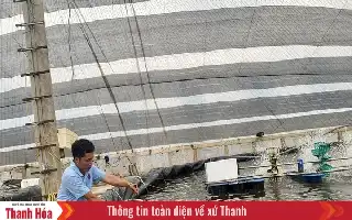 Modernización del sector pesquero: La estrategia de Thanh Hoa para aumentar la productividad mediante la acuicultura basada en tecnología