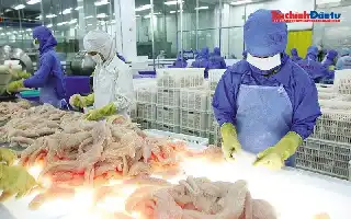 Sektor Ekspor Vietnam Terganjal Birokrasi, Pelaku Bisnis Desak Penyederhanaan Prosedur