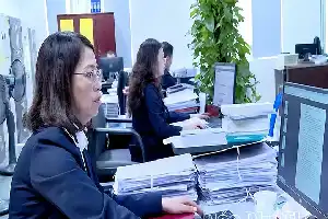 Phu Tho impulsa las exportaciones a Israel y prepara una estrategia para implementar el VIFTA