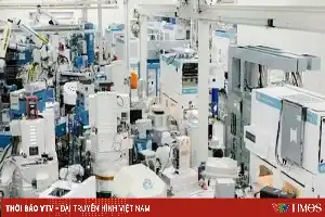 Investasi Infrastruktur AI Memicu Pergeseran Arus Kas di Sektor Teknologi Global