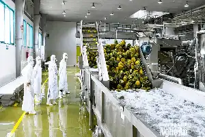 Acelerando el crecimiento económico de Nghe An mediante el fortalecimiento del sector de inversión doméstica