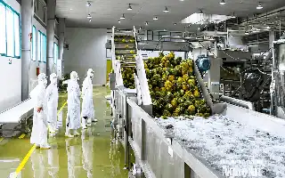 Accelerating Nghe An's Economic Growth Through Strengthening the Domestic Investment Sector