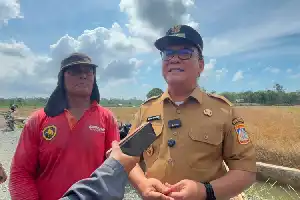Pasos del gobierno municipal de Balikpapan para convertir Gunung Binjai en un granero de alimentos mediante un proyecto de riego de 4.800 millones de rupias
