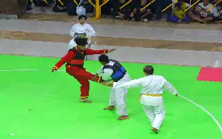 IPSI de Java Oriental impulsa la regeneración de entrenadores y jueces para mejorar la calidad del Pencak Silat