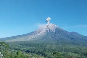 Volcanic Activity Increases: Mount Semeru Erupts Six Times