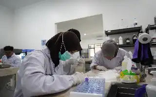 Відповідаючи на потреби в медичних кадрах, UMKU готує випускників D4 з технологій медичної лабораторії, готових до роботи