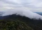 Menapaki Satu Dekade TN Gunung Maras, Sinergi Lindungi Satwa Endemik 'Atap Bangka'