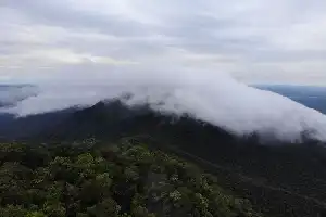 Cumpliendo una década del Parque Nacional del Monte Maras: sinergia para proteger la fauna endémica del 'Techo de Bangka'