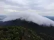 Menapaki Satu Dekade TN Gunung Maras, Sinergi Lindungi Satwa Endemik 'Atap Bangka'