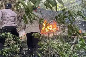 Зведена команда успішно ліквідувала лісову пожежу на горі Орак-Арік у Тренггалеку