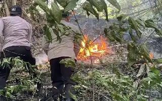 Joint Team Successfully Extinguishes Wildfire on Mount Orak-Arik, Trenggalek