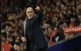 Luis de la Fuente's Tactical Touch Leads Spain Past Portugal