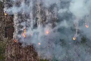 Forest Fire on Mount Gombak in Ponorogo Burns 15 Hectares of Land