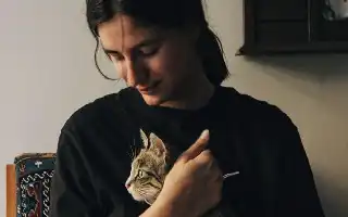 Psychological Study: Keeping a Cat Proves Effective in Supporting Mental Health