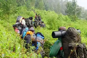 Розслідують випадок із туристами, які ймовірно мали при собі зброю на горі Демпо; бригада готує суворі санкції